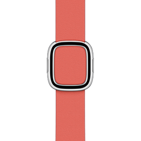 Apple Watch 38/40/41 mm Modernes Lederarmband, zitruspink, mittel>