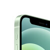 <h1>iPhone 12 mini, 64GB, grün</h1>