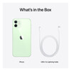 <h1>iPhone 12 mini, 256GB, grün</h1>