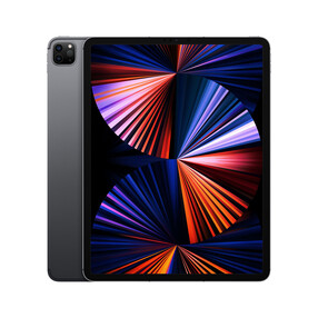 iPad Pro Wi-Fi + Cellular, 1TB, space grau, 12.9"