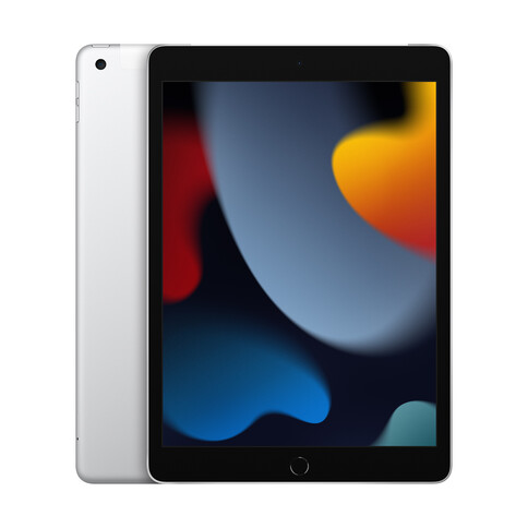 iPad Wi-Fi + Cellular, 256GB, silber, 10.2&quot; (9.Gen.)