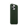 <h1>Apple iPhone 13 Pro Leder Case mit MagSafe, schwarzgrün</h1>