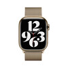 <h1>Apple Watch 41 mm Milanaisearmband, gold</h1>