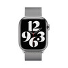 <h1>Apple Watch 41 mm Milanaisearmband, silber</h1>