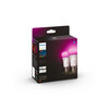 <h1>Philips Hue White &amp; Col. Amb. E27 Doppelpack 2x570lm 60W</h1>