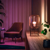 <h1>Philips Hue White &amp; Col. Amb. E27 Doppelpack 2x570lm 60W</h1>