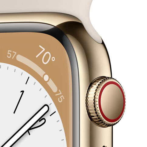 Apple Watch Series 8 GPS + Cellular, Edelstahl gold, 45 mm mit Sportarmband, polarstern