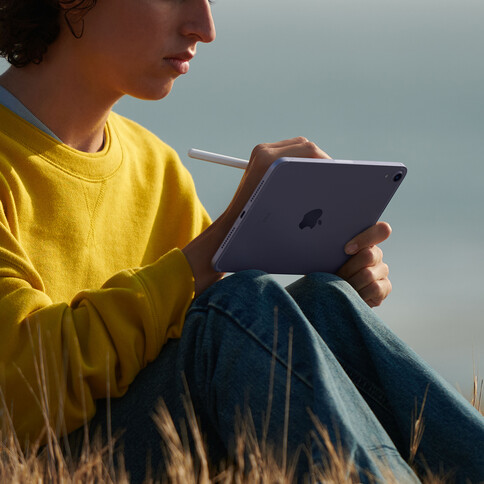 iPad mini Wi-Fi + Cellular, 64GB mit Retina Display, space grau, (6.Gen.)