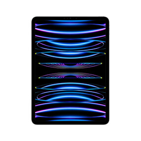 iPad Pro Wi-Fi, 256GB, silber, 11" (4.Gen.)