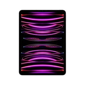 iPad Pro Wi-Fi + Cellular, 1TB, space grau, 11" (4.Gen.)>