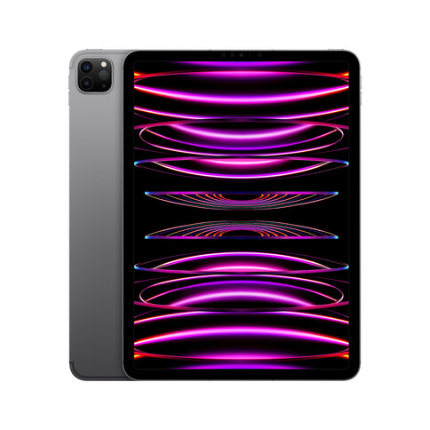 iPad Pro Wi-Fi + Cellular, 1TB, space grau, 11&quot; (4.Gen.)&gt;