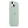 Apple iPhone 14 Silikon Case mit MagSafe, agavengrün
