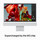iMac 24&quot; mit 4.5K Retina Display, M3 Chip 8-Core CPU und 8-Core GPU, 8GB, 256GB SSD, silber