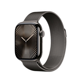 Apple Watch Series 10 GPS + Cellular, Titan schiefer, 42mm mit Milanaise-Armband, schiefer