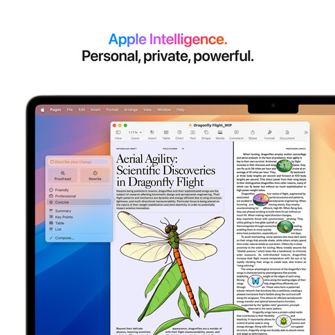 MacBook Air 15&quot; mit M4 Chip, 10-Core CPU und 10-Core GPU, 24GB, 512GB SSD, polarstern