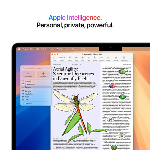 MacBook Air 13&quot; mit M4 Chip, 10-Core CPU und 10-Core GPU, 24GB, 512GB SSD, silber