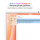 iMac 24&quot; mit 4.5K Retina Display, M4 Chip 10-Core CPU und 10-Core GPU, 16GB, 256GB SSD, orange