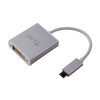 <h1>LMP USB-C zu DVI Adapter, silber</h1>